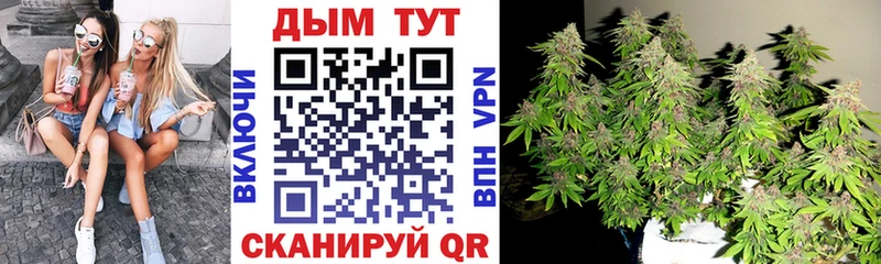 blacksprut   купить   Цимлянск  Шишки марихуана планчик 